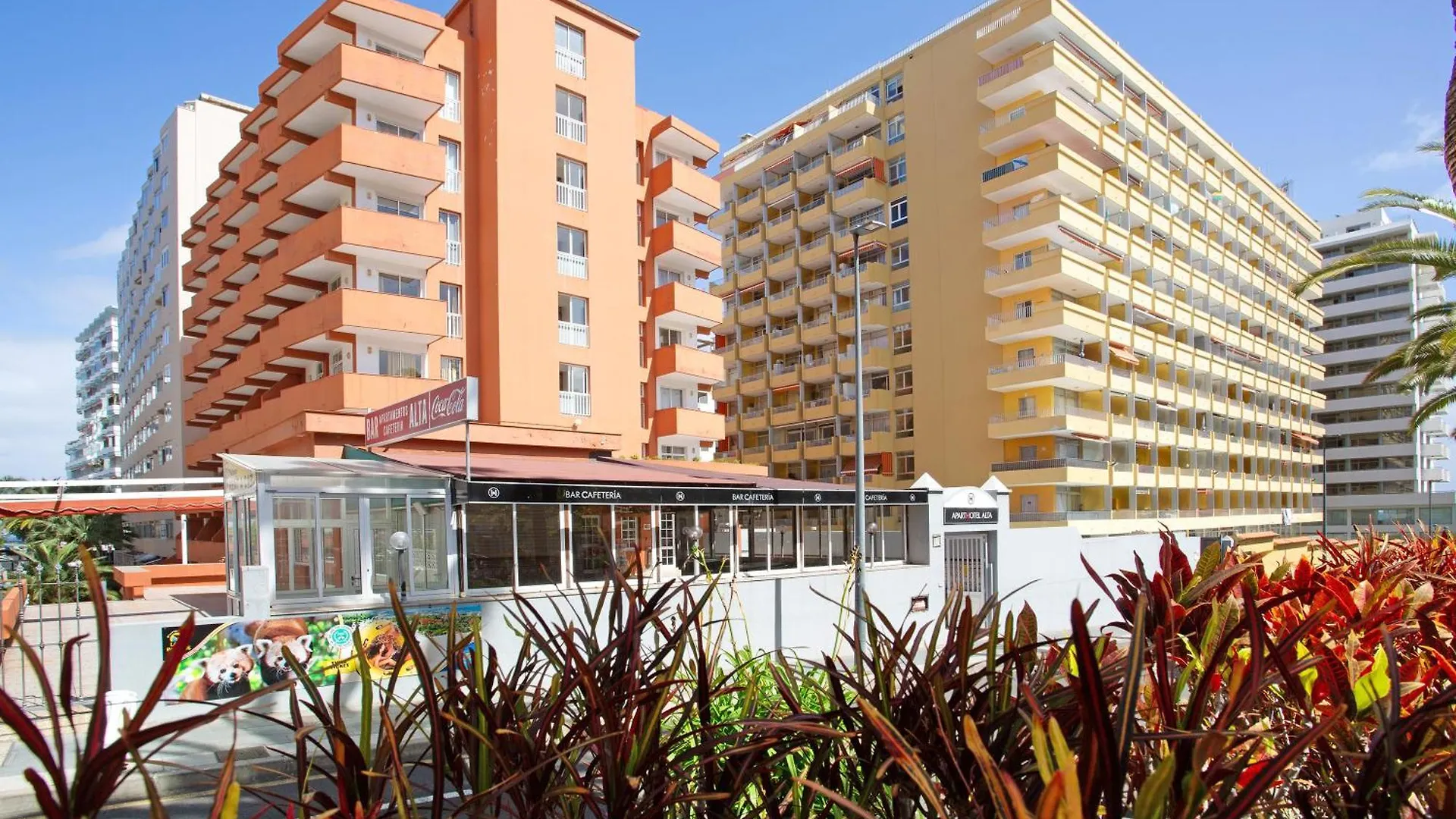 Apartamento Alta 507 Puerto de la Cruz  Appartement